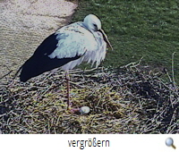 Wendeburg  1.Ei 14.03.20 Webcam