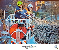 Storchennest Nienhagen-Bergung Plastiknetz (Foto Jürgen Bieda)s