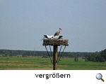 Nest in Jeversen